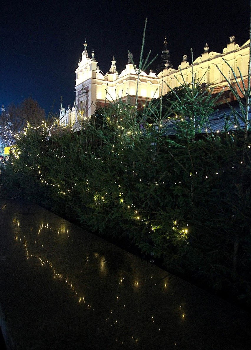 Świąteczne iluminacje Krakowa. Miasto niczym z bajki [ZDJĘCIA]