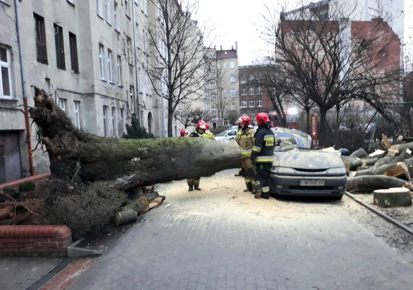 20-metrowe drzewo przewróciło się w podwórku przy ul....