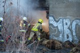 Stali na czatach, gdy koledzy podpalali. Usłyszeli zarzuty. Prokurator zapowiada, że to nie koniec sprawy i możliwe są kolejne zatrzymania