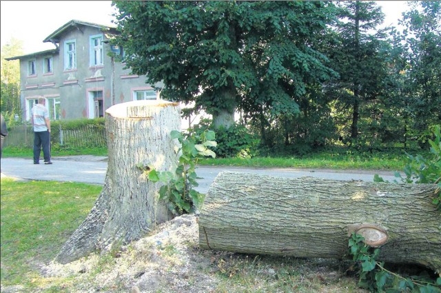 Drzewa wycięte przez ogarniętego furią mężczyznę zatarasowały drogę, a jedno z nich spadło na budynek gospodarczy i go uszkodziło. Mieszkańcy są zszokowani i przerażeni do tego stopnia, że nie chcieli rozmawiać z dziennikarzem. Ci, którzy zgodzili się nam coś powiedzieć, nie podali nazwisk. Bali się, że gdy agresor wyjdzie ze szpitala, może się na nich zemścić.