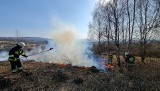 Stryszów. Nic do nich nie dociera! Tu codziennie płonie trawa i to po kilka razy na dobę [ZDJĘCIA]