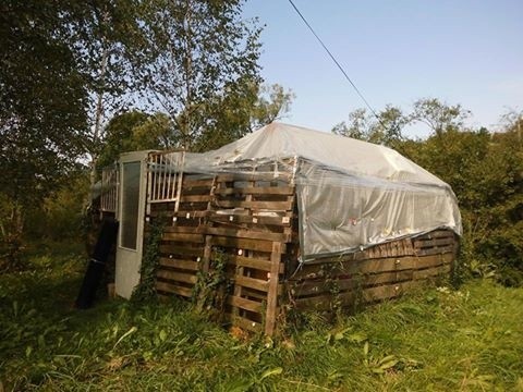 Zofia Wantuch: Prowizoryczna kociarnia zawali się pod śniegiem.