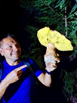 Katowiczanin znalazł prawdziwka giganta na Straconce w Bielsku-Białej ZDJĘCIA