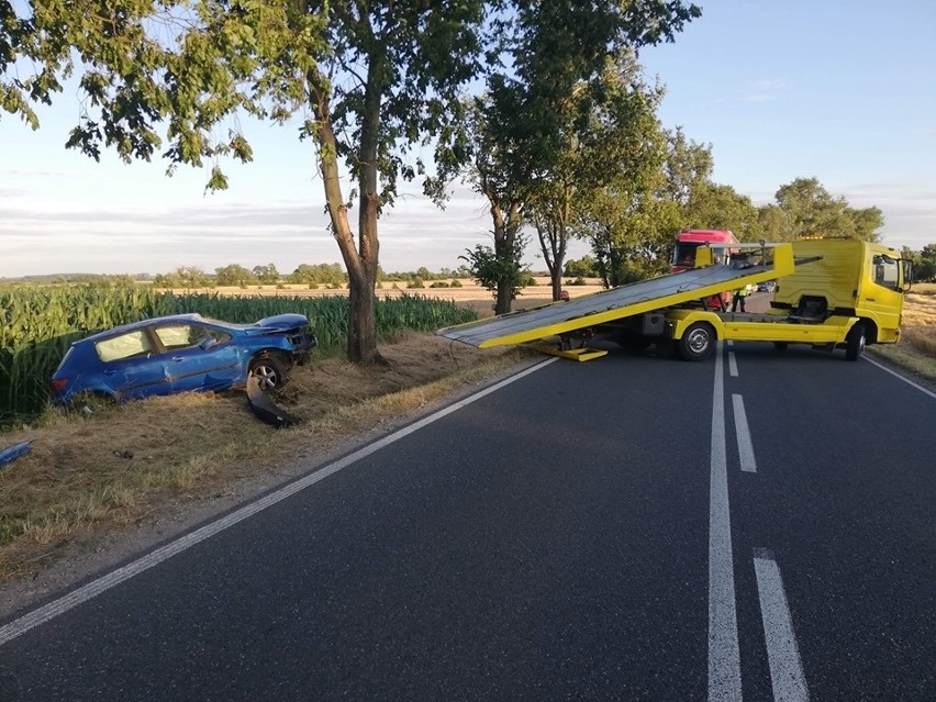 Dachował, a potem… schował się przed policją w kukurydzy [ZDJĘCIA]