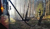 Kolejne pożary lasów koło Słupska. Pomagał śmigłowiec [zdjęcia]