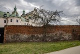 Kraków. Ktoś obsypał solą drzewa przy kościele Na Skałce. Gdyby nie szybka reakcja mieszkańców, mogły uschnąć
