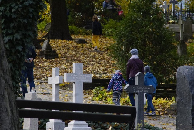 Z usługi wyszukiwania grobów można skorzystać zarówno na komputerze, jak i przez komórkę.