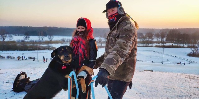 Misiek (od grudnia znany jako Pogo) kochający dom znalazł u pani Justyny i jej partnera Mariusza.