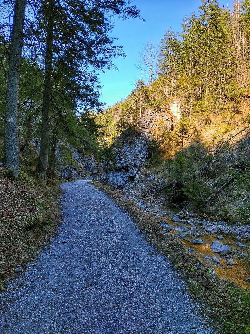 Tatry. Zobacz jak wygląda Dolina Białego. Tam można legalnie spacerować [ZDJĘCIA]