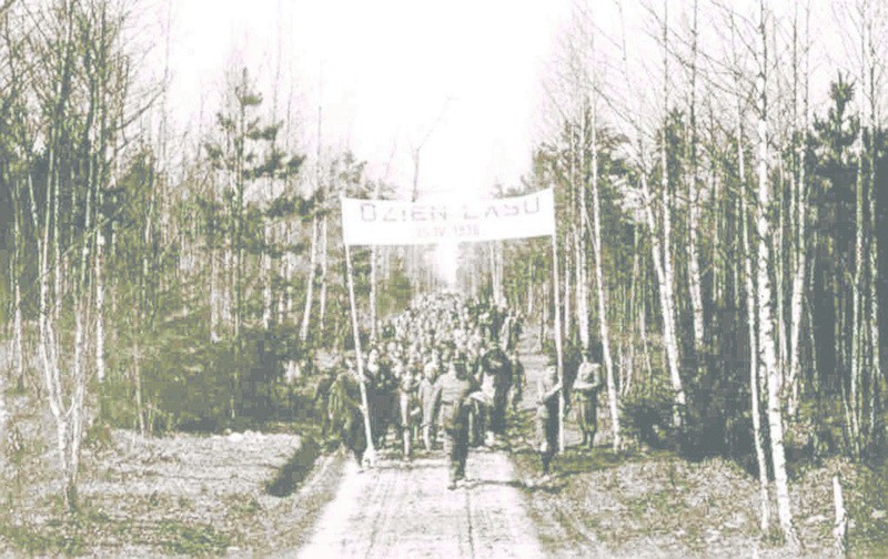 Dzień Lasu w Białowieży w 1936 roku.