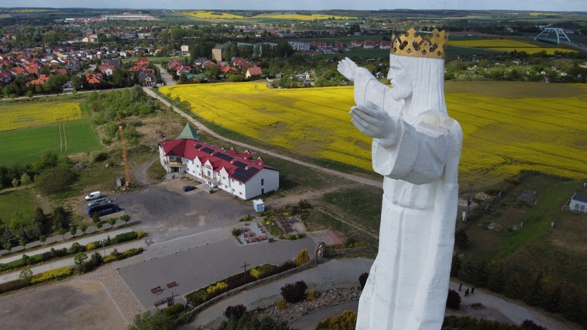 Lubuskie pola toną w rzepaku. Zobaczcie wyjątkowe zdjęcia...