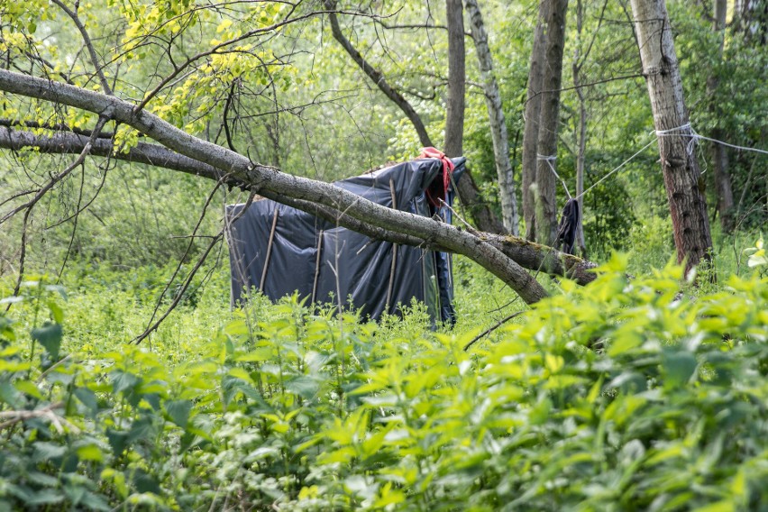 Kraków. Żyją w lesie, zbudowali szałas za wałem przeciwpowodziowym