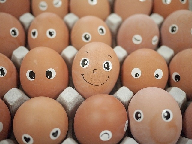 Kolejne sieci przyłączają się do apelu organizacji broniących praw zwierząt, aby w sprzedaży były jajka od „szczęśliwszych” kur