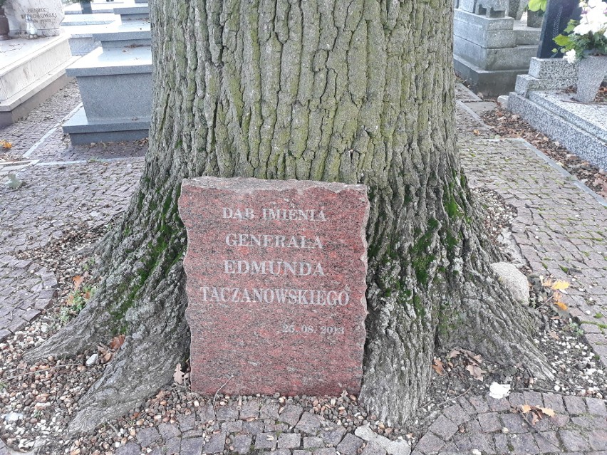 Nadleśnictwo Kolumna | Mogiła zbiorowa i pomnik na cmentarzu parafialnym w Sędziejowicach