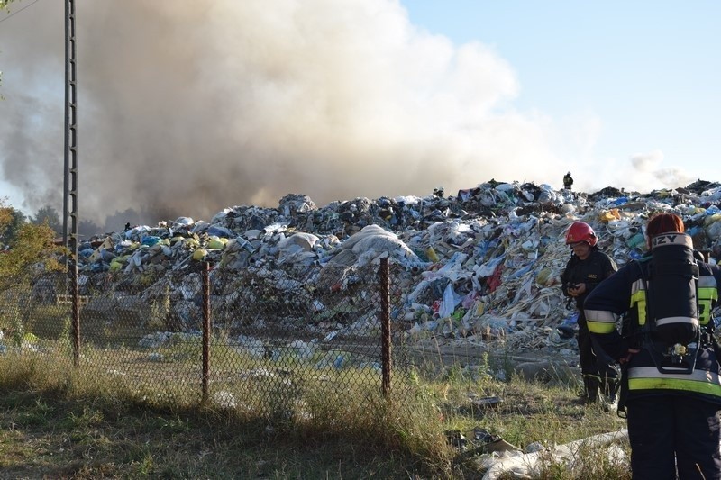 Pożar wysypiska śmieci w Mostkach koło Zduńskiej Woli