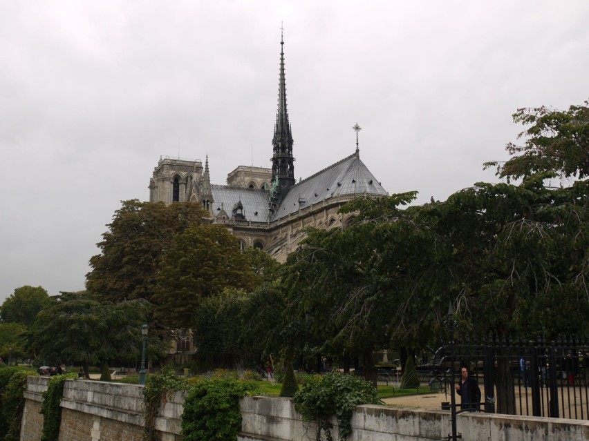 Wielki pożar katedry Notre Dame w Paryżu. Płonie jeden z symboli stolicy Francji NA ŻYWO