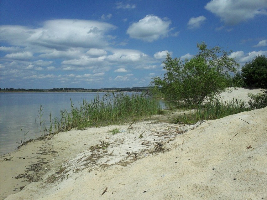 Naturyści na plaży nad Pogorią IV