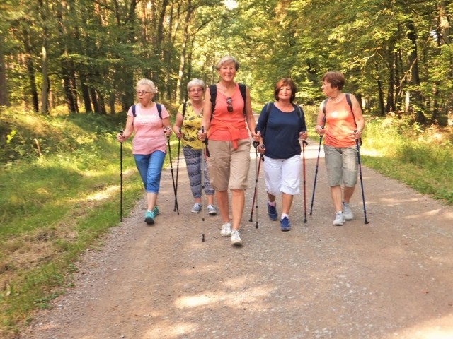 W Wieliczce rusza projekt Nordic Walking Senior 2022. Bezpłatne zajęcia z instruktorem rozpoczną się 20 czerwca (zdjęcie ilustracyjne)