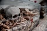 Krypta we Wschowie otwiera się raz w roku. Wypełniają ją czaszki i szklane sarkofagi ze szczątkami zmarłych. Zobaczcie jej wnętrze | ZDJĘCIA