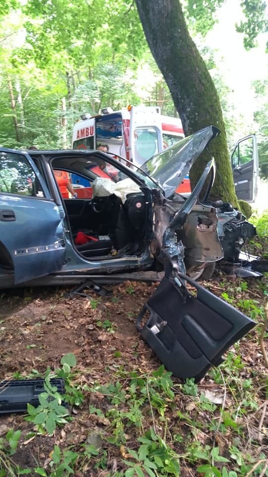 Wypadek koło Polanowa. Samochód uderzył w drzewo 