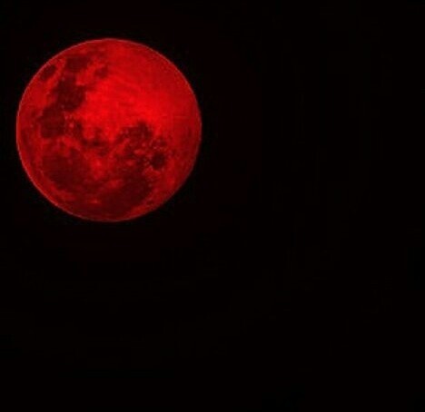 Krwawy Księżyc w Międzyrzeczu