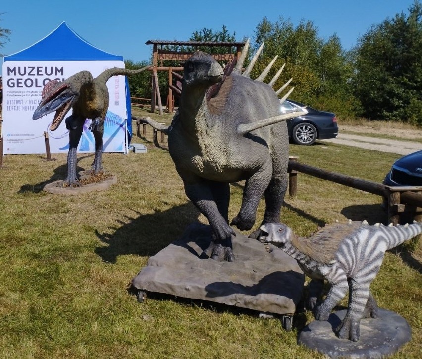 Borkowice chcą wypromować ślady dinozaurów odkryte w dawnej kopalni. Jest figura dinozaura, będzie park? Zobacz wideo