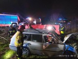 Śmiertelny wypadek w Zgierzu. Auto uderzyło w drzewo, zginął kierowca ZDJĘCIA