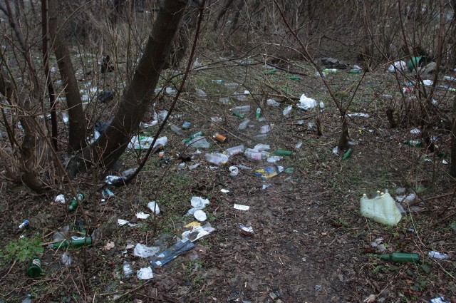 Butelki, plastikowe torby, opony - to wszystko można znaleźć na skwerze między ulicami Kielecką i Wstępną na Halinowie.