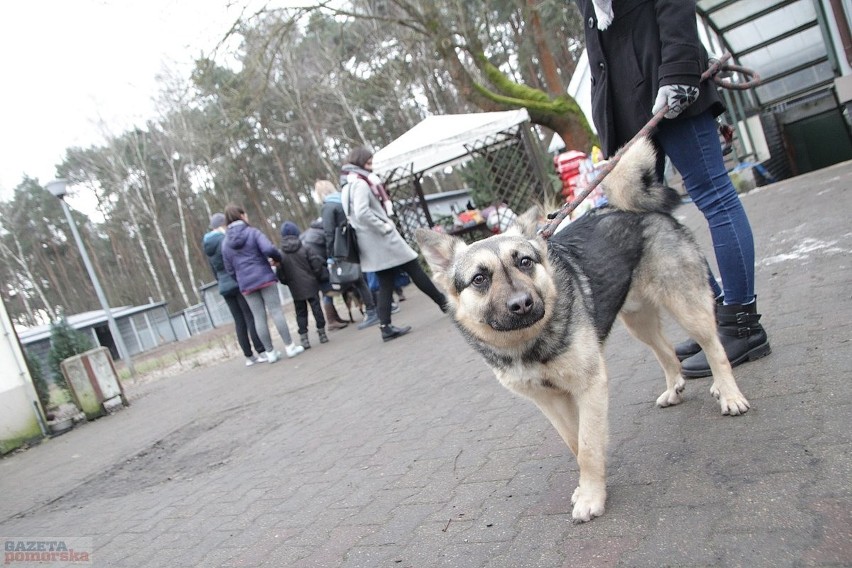 To była już druga, po ubiegłorocznej, edycja Walentynkowego...