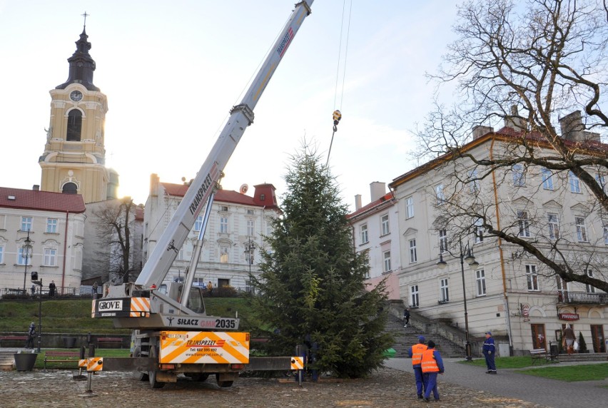 Świąteczna choinka została ustawiona na Rynku w Przemyślu....