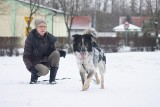 Oprawcy zwierząt są często bezkarni