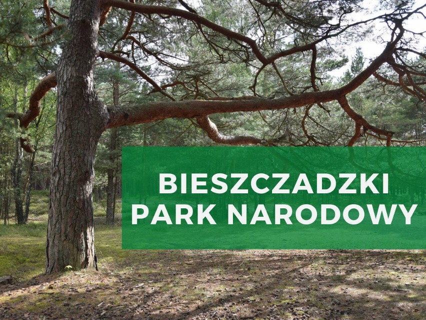 Bieszczadzki Park Narodowy...