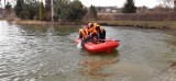 Łabędź zaplątany w żyłkę wędkarską na zbiorniku w Brodach koło Końskich. Z pomocą ruszyli strażacy  