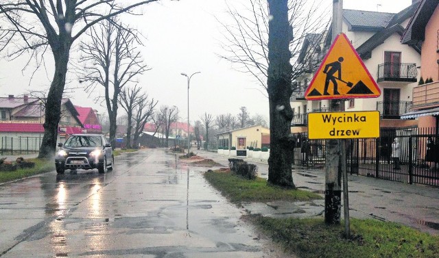 Ulica Bolesława Chrobrego w Mielnie to główna trasa w tej miejscowości. Z pobocza już zniknęło ponad 30 drzew, zniknie jeszcze kilkanaście