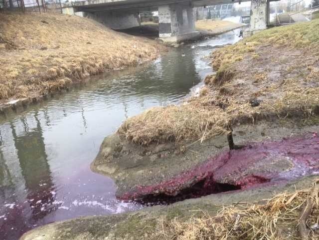 Zambrów. Rzeka Jabłonka zmieniła swój kolor. Starosta zwołał sztab kryzysowy. Okazało się, że to marchew i buraki zabarwiły rzekę