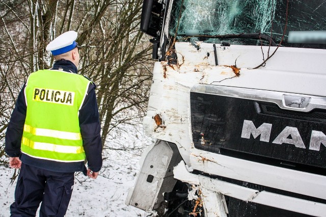 Jak niebezpieczne mogą być zimowe warunki przekonał się 35-letni kierowca ciężarówki, który jadąc drogą wojewódzką nr 156 z Drezdenka w kierunku Starego Kurowa około godziny 9:30 stracił panowanie na śliskiej nawierzchni i uderzył w drzewo. Dobra wiadomości jest taka, że kierowcy nic się nie stało, jednak z uwagi na to zdarzenie powstały utrudnienia dla innych kierowców. Policjanci z Wydziału Ruchu Drogowego strzeleckiej komendy w czasie utrudnień kierowali ruchem i wyjaśniają okoliczności tego zdarzenia.To już kolejna kolizja, do której doszło tego dnia na śliskich, lubuskich drogach. - Zimowe warunki na drogach powodują, że policjanci z drogówki mają pełne ręce roboty. Nie do wszystkich kierowców trafiają apele o rozsądek i przysłowiowe zdjęcie nogi z gazu. Mundurowi zwracają szczególną uwagę, na brawurowo jeżdżących kierowców, czyli tych którzy pomimo trudnych warunków na drodze nie stosują się do ograniczeń prędkości. A takie osoby, mimo wielu apeli wciąż się zdarzają. Stan techniczny pojazdów, trzeźwość kierowców i wymagane dokumenty, to elementy, które policjanci uważnie sprawdzają - mówi sierż. szt. Tomasz Bartos, oficer prasowy Komendy Powiatowej Policji w Strzelcach Kraj.Przeczytaj też:  Między Sulechowem, a Trzebiechowem suzuki wypadło z drogi. Auto uderzyło w dwa drzewa. Ranna została kobieta i 6-letnie dzieckoZobacz też wideo: KRYMINALNY CZWARTEK - Centralne Biuro Śledcze Policji rozbiło gang wyłudzający odszkodowania