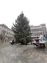 Z Lublina znika kolejny element wystroju świątecznego. Tym razem chodzi o choinkę na placu przed pedetem