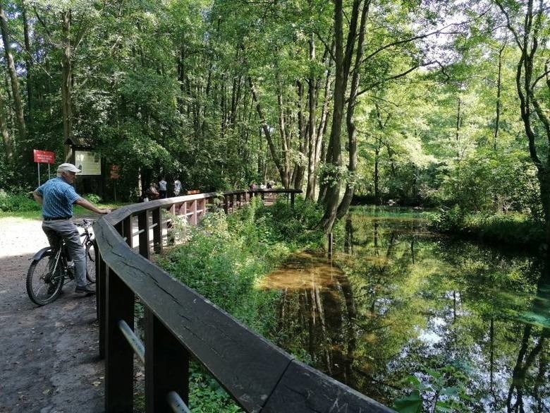 Tomaszów Mazowiecki i okolice: jednodniowa wycieczka do doliny Pilicy