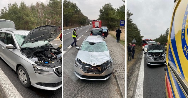 Policja apeluje do kierowców o rozwagę i rozsądną jazdę na drogach, które przebiegają przy terenach leśnych. Spotkanie z dużym zwierzęciem, takim jak łoś, może być bardzo groźne i tragiczne w skutkach.