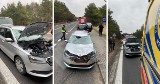 Wypadek pod Toruniem. Na DK 15 w pobliżu Cierpic auto zderzyło się z łosiem [zdjęcia]