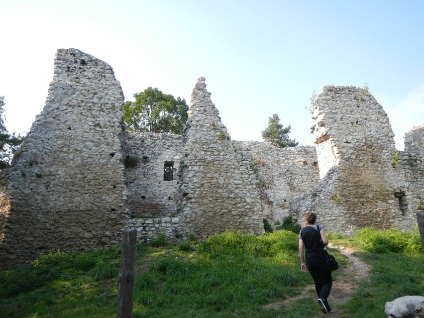Ruiny strażnicy Bydlin, która należała do nieślubnego syna...