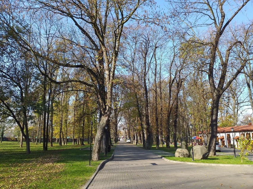 Kraków. Dwa hektary parku dla mieszkańców przy zakładzie Matecznego. Są też pierogi. A kiedy woda? [ZDJĘCIA]
