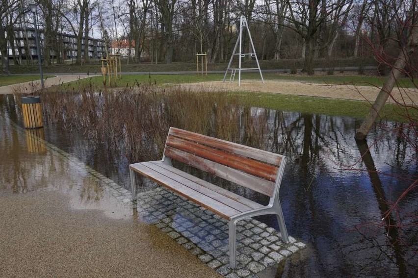 Podtopiony park Wodziczki. Tak ten teren prezentował się w...