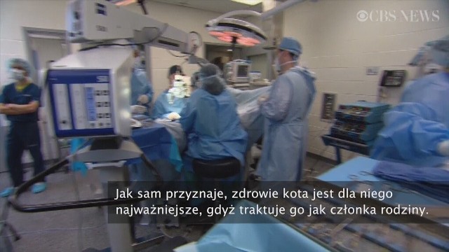 Wydali 16 tysięcy dolarów na przeszczep nerki kota