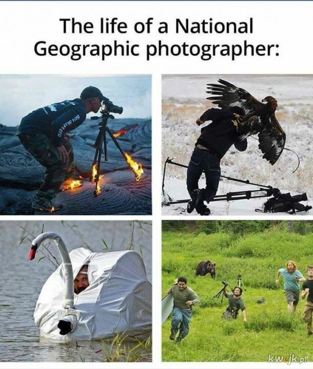 Najlepsze memy o fotografii i fotografowaniu
