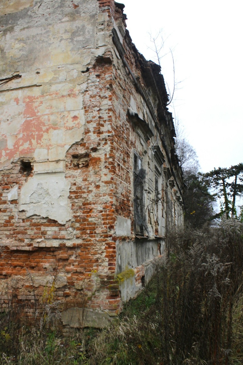 Ruiny dworu w Biórkowie Wielkim