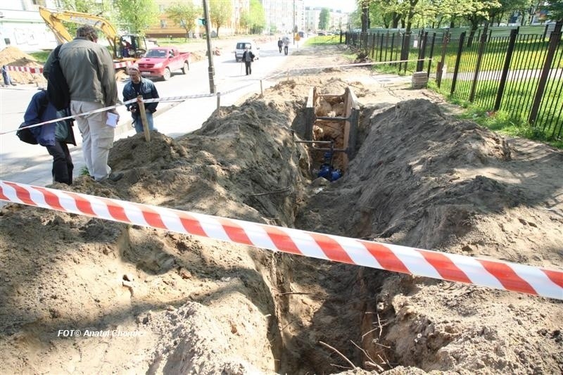 Kości w wykopie budowlanym przy ul. Kalinowskiego