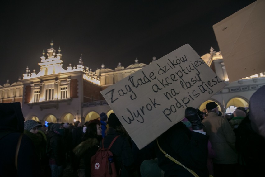 Dziki protest w obronie dzików w Krakowie. "Dzik czuje, tak jak kot prezesa", "Strzel se w łeb" [ZDJĘCIA]