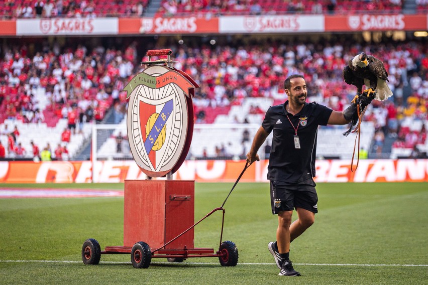 Eliminacje Ligi Mistrzów: Benfica - FC Midtjylland 4:1 [ZDJĘCIA]