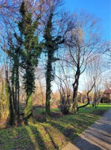 Kraków. Zmienia się Park Duchacki. Prace przy zabytku, nasadzenia